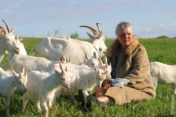 Фотографии путешествий. Страна Страна: Россия, город Новгород, страница 1