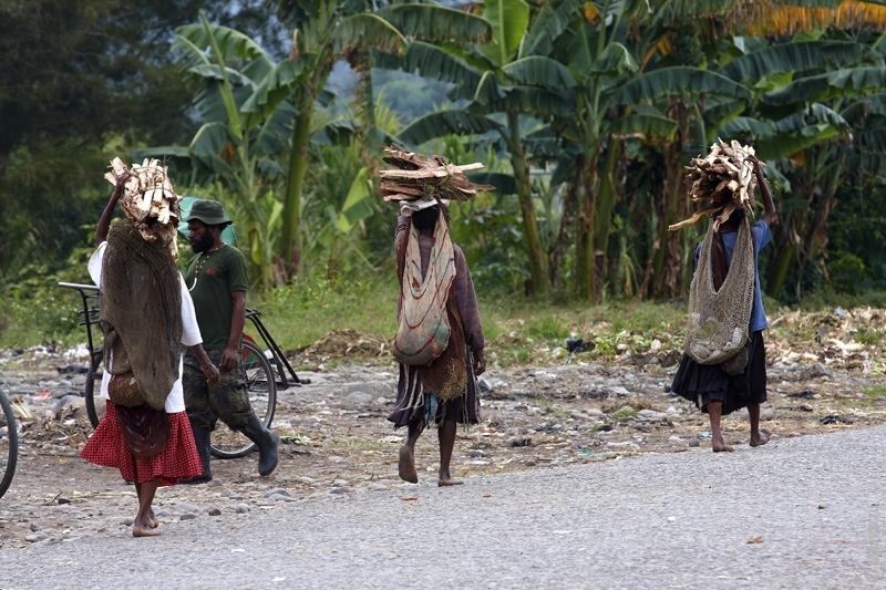 Фотографии путешествий. Страна Страна: Индонезия, город Папуа, страница 1